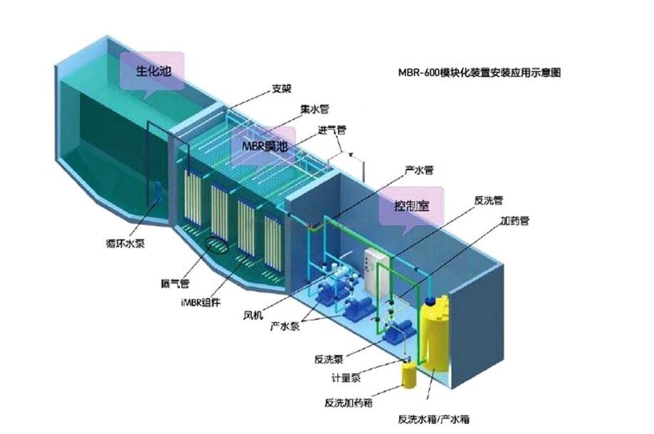 好色先生TV黄色版下载